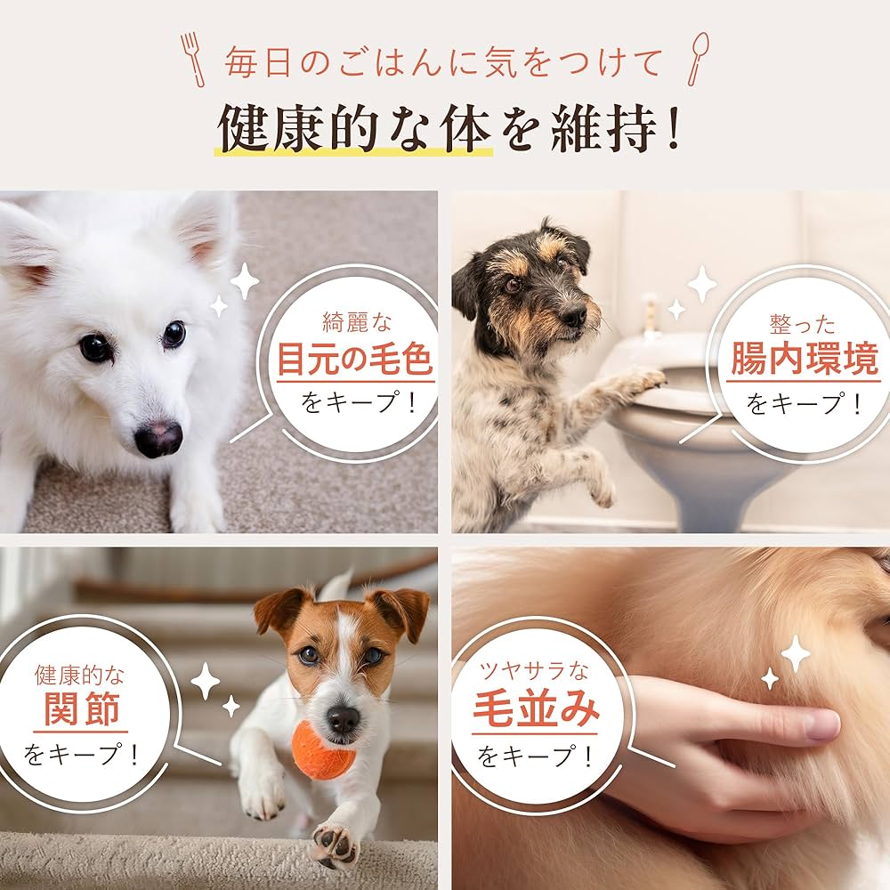 Amazon.co.jp: 犬猫生活 ドッグフード オールステージ 国産の